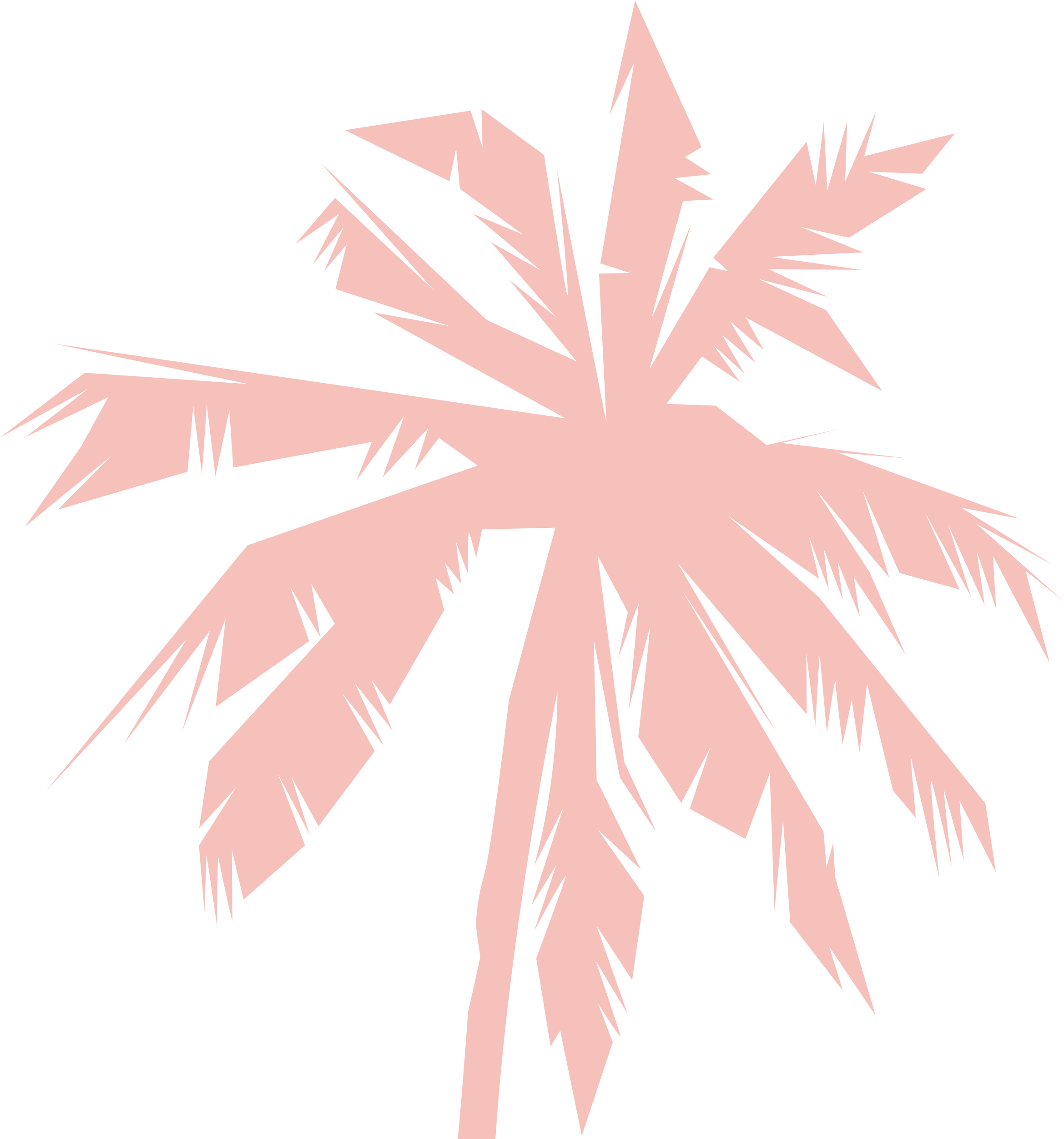 Palm